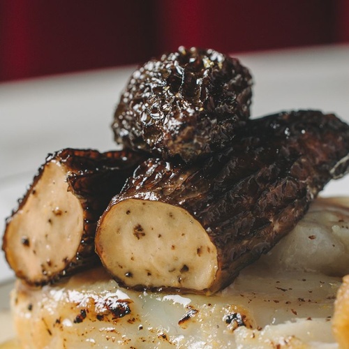 Rich Truffle Perfection dish